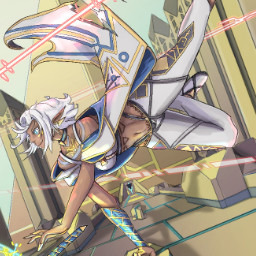 Sek-Dynamic Combatant